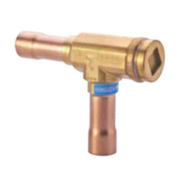 GCV-GCVRH - Check valve